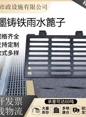 球墨铸铁雨水篦子450750重型雨水口检查井排水沟盖板铸铁篦子