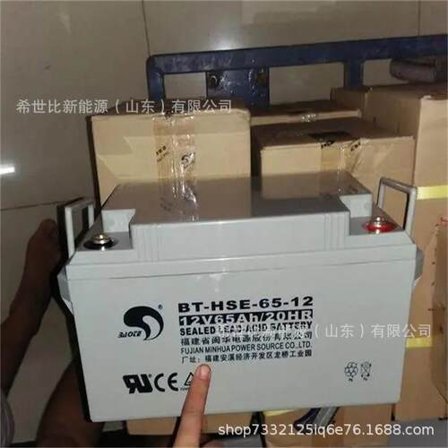 赛特蓄电池BT-HSE-65-12通讯及电力设备12V65AH发电厂/变电站