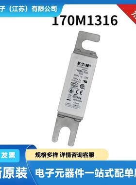 170M4863D 170M4864D 170M4865D 170M4866D原装电压熔断器 保险丝