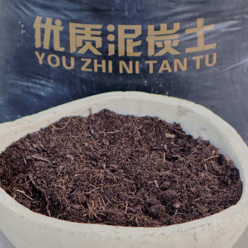 黑土通用型泥炭土种花多肉有机种菜大包土种植土草炭土营养土