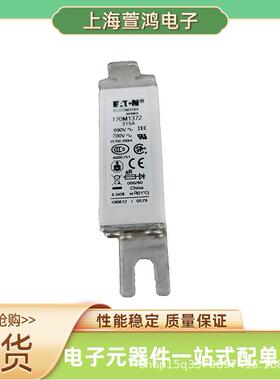 170M5452 170M5458 170M5459 170M5460原厂低压熔断器保险丝