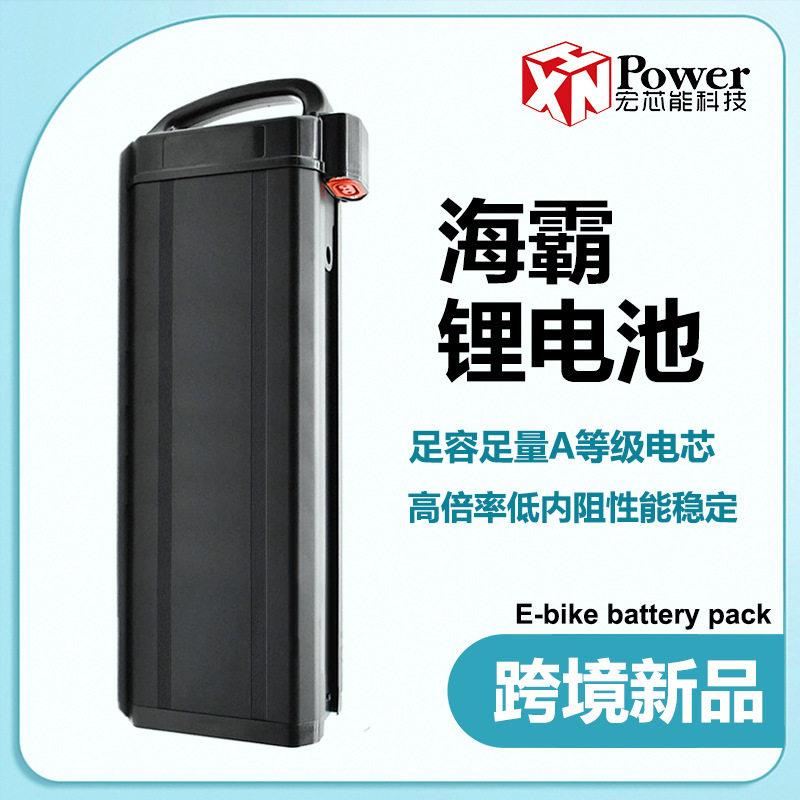 外贸工厂直销电动车飞道款Fiido锂电池海霸48V20AH驾外卖电池