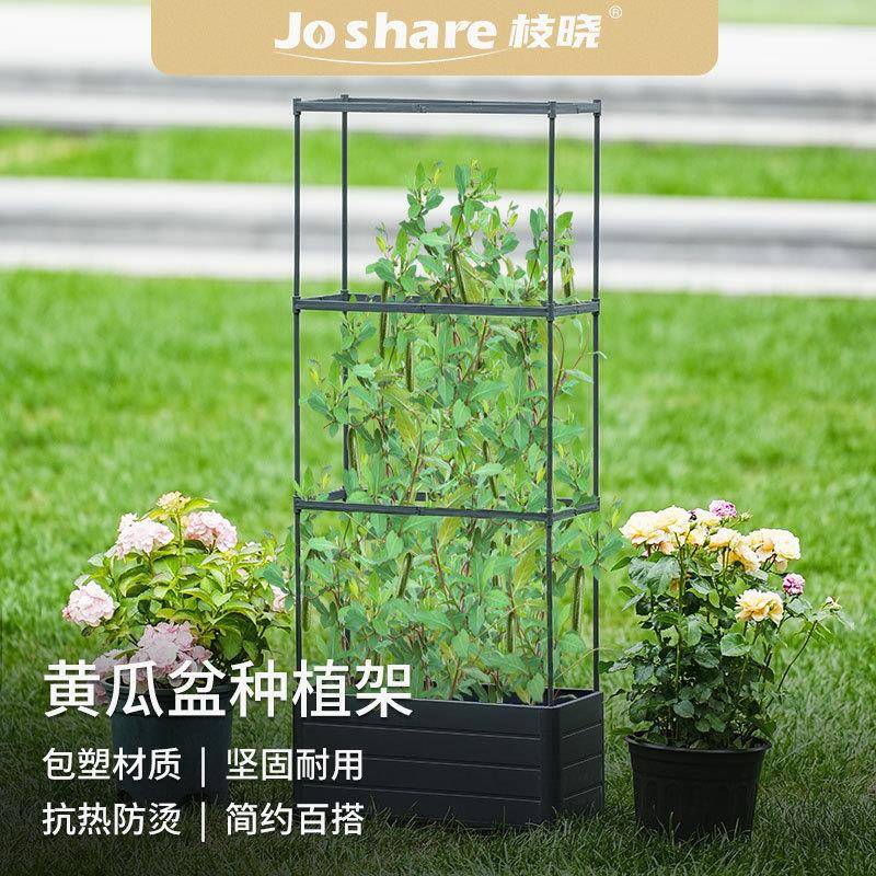 枝晓黄瓜种植盆套装花园植物爬藤花盆植物系带攀岩户外园艺跨境