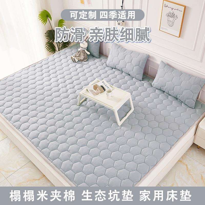 新款踏踏米四季通用炕垫学生床垫床护垫褥子防滑可机洗可定 制