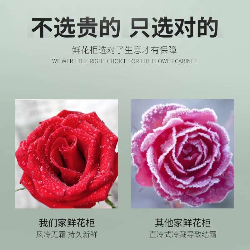 鲜花冷藏展示柜花店冷藏柜商用三门保鲜风冷无霜大容量鲜花柜冰柜