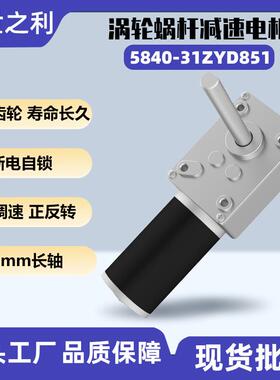 5840-31ZY直流减速电机涡轮蜗杆24V大扭矩长轴微型电动机12V