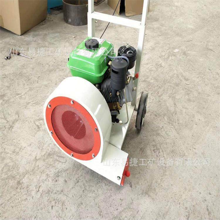 手推式路面吹风机 STCF-90市政卫生清理用路面吹风机 汽油吹风机,玩具/童车/益智/积木/模型,毛绒/玩偶/公仔/布艺类玩具,淘宝优惠券,粉丝福利购,淘宝优惠卷