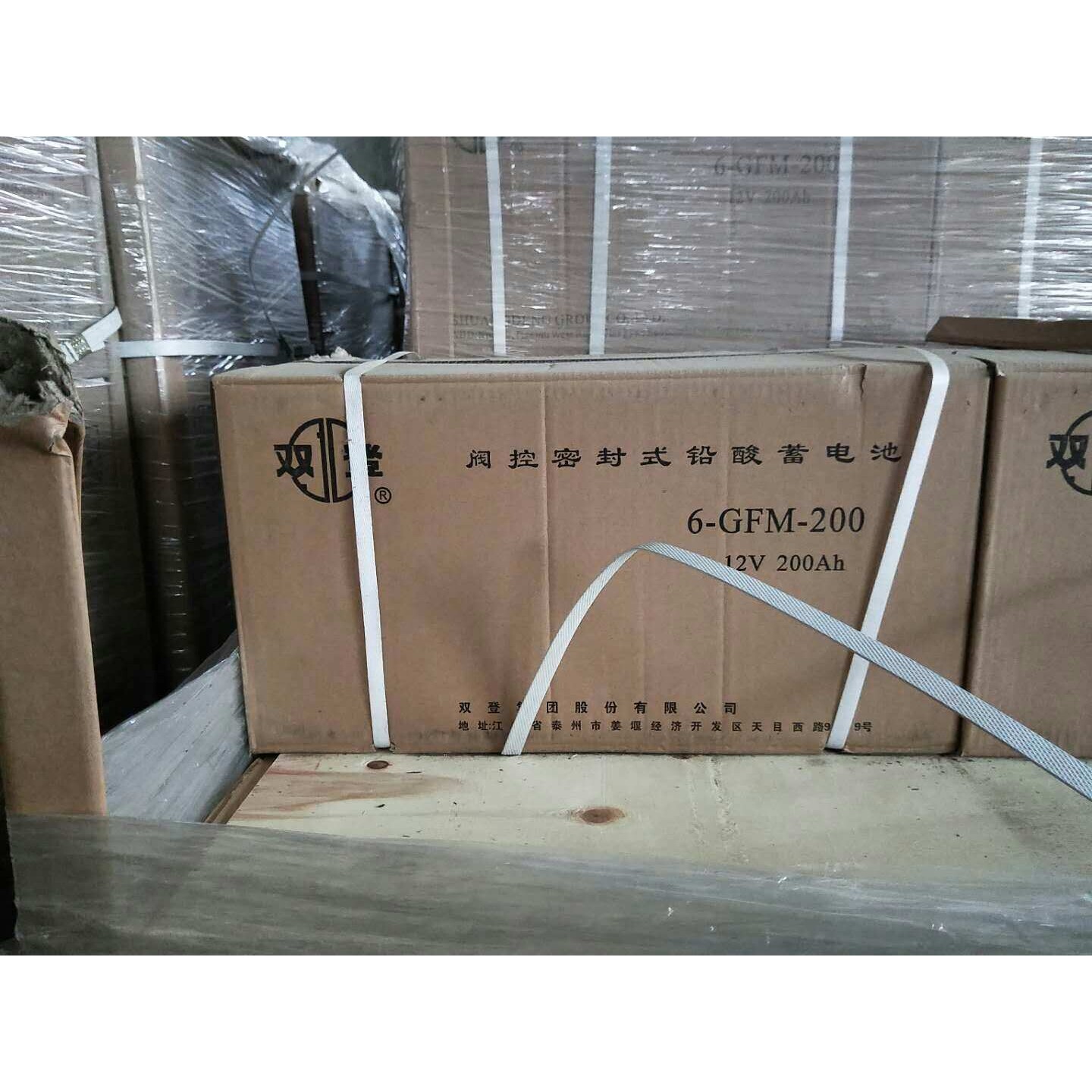 双登狭长式蓄电池6-FMX-100A 铅酸免维护12V100Ah 质保三年