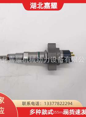 康明斯发动机喷油器总成5594305/4327072/4307452/4359204