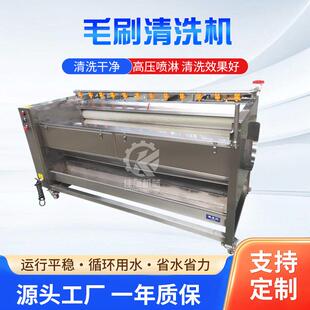 厂家生产全自动椰枣干洗机番枣波斯枣清洗单机设备枣子清洗机