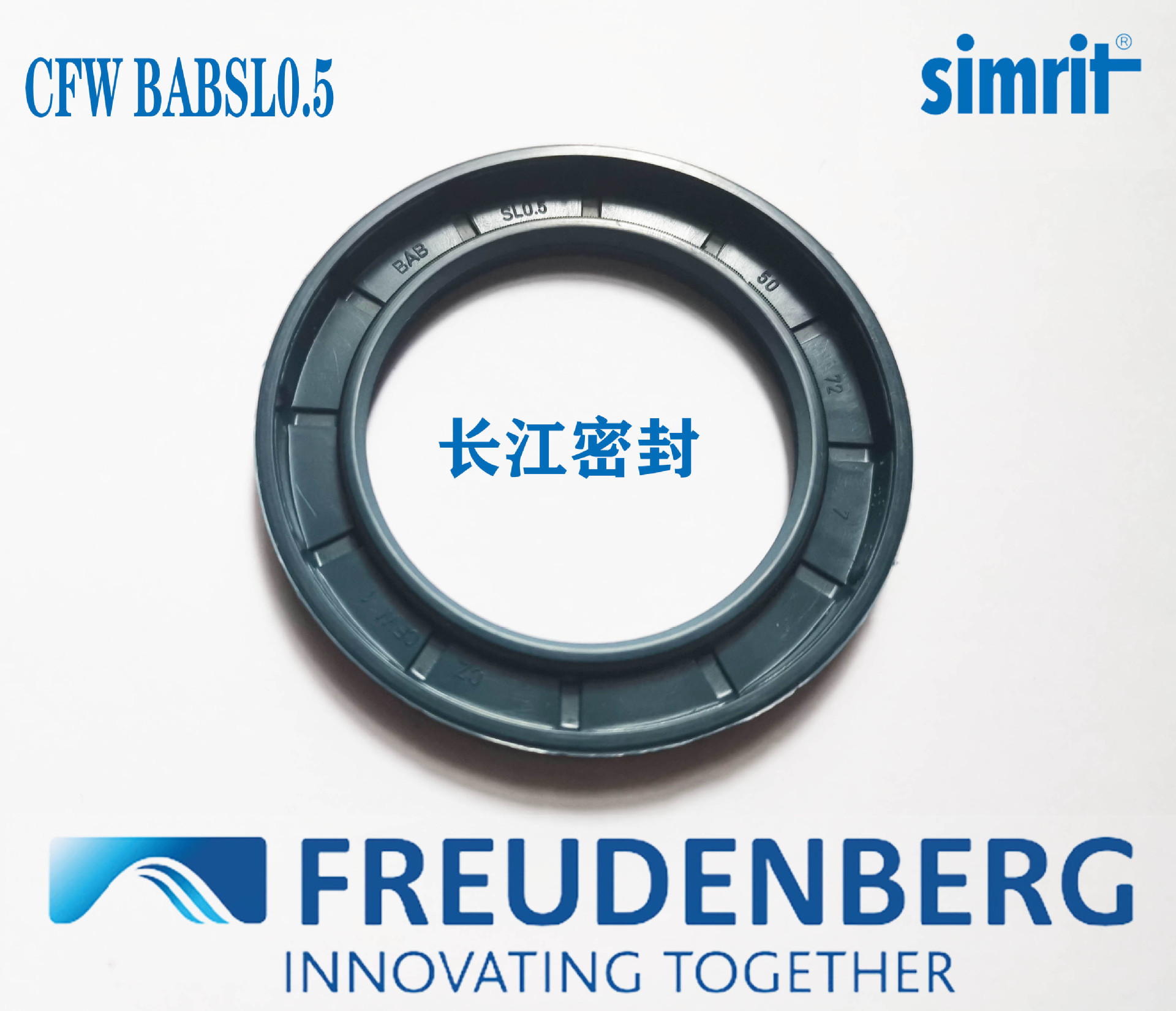 cfw油封氟胶BABFSL1 140-160-10 德国进口耐压型