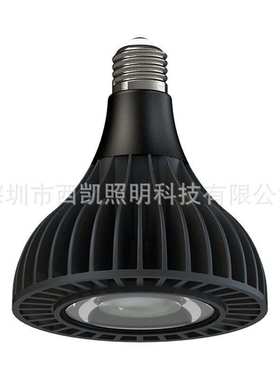 调光 LED Par38 COB 40W射灯 E27 G12 85-265V 110V 230V黑色白色