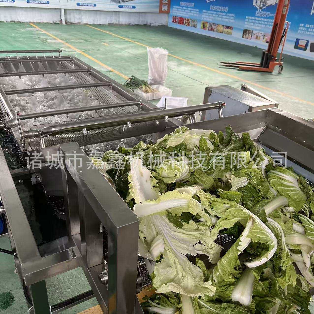 果蔬臭氧洗菜机 供应自带水果玉米气泡清洗机 净菜流水线