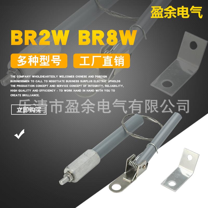 高压电容击穿保护熔断器保险管熔断管BR2W-7/BR8W-7/50P80P100P