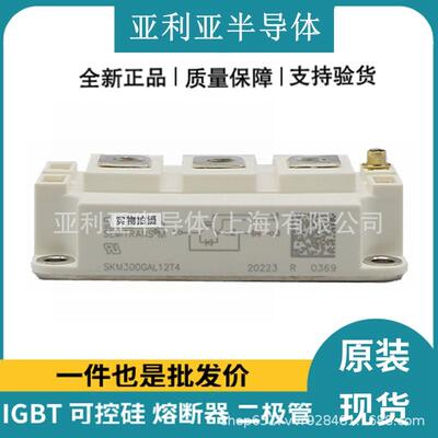 SKM400GB128DE SKM300GA12T4 GD300HFL120C2S LWG200H12C4U原厂