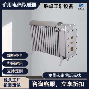 矿用电热取暖器 现货出售 适用范围广RB-2000/127(A)矿用电暖气