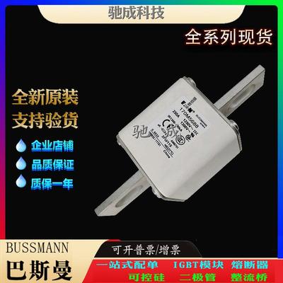 巴斯曼170M5665 170M5666 170M5667 厂价供应优价供应 伊顿熔断器
