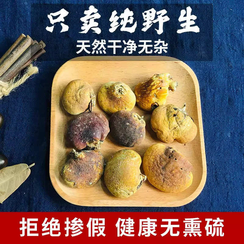须元果野生正品散装中药材隐孔菌耶野生香豆无根须阳果100g树荷包