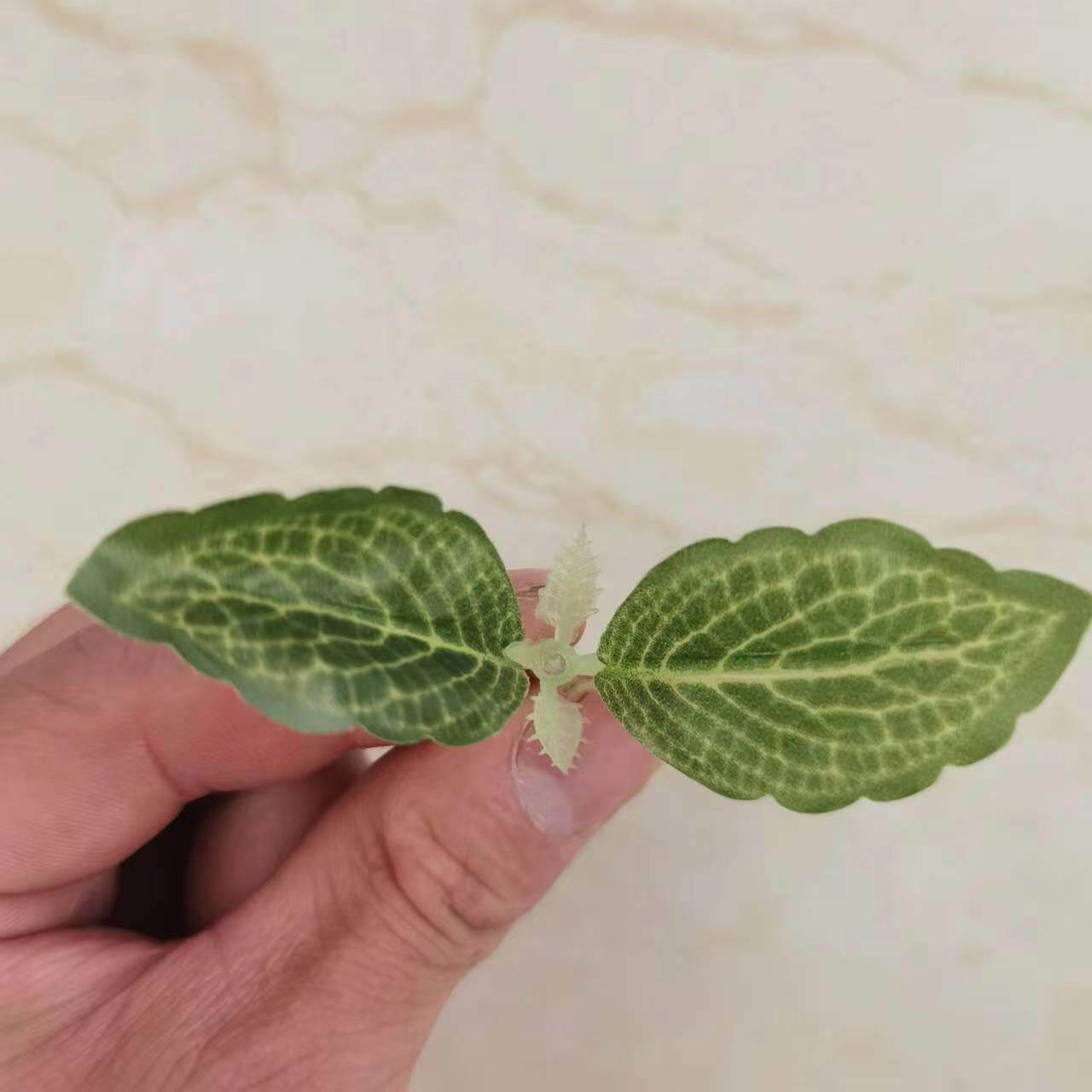 仿真叶子绿植配件材料 8厘米两叉迷你树叶 仿真树丝网花绢花叶子