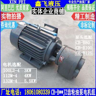 LWBZ-CB-B80 B100 B125 JZ齿轮油泵电机组装置YE2-L00L2-4 3KW