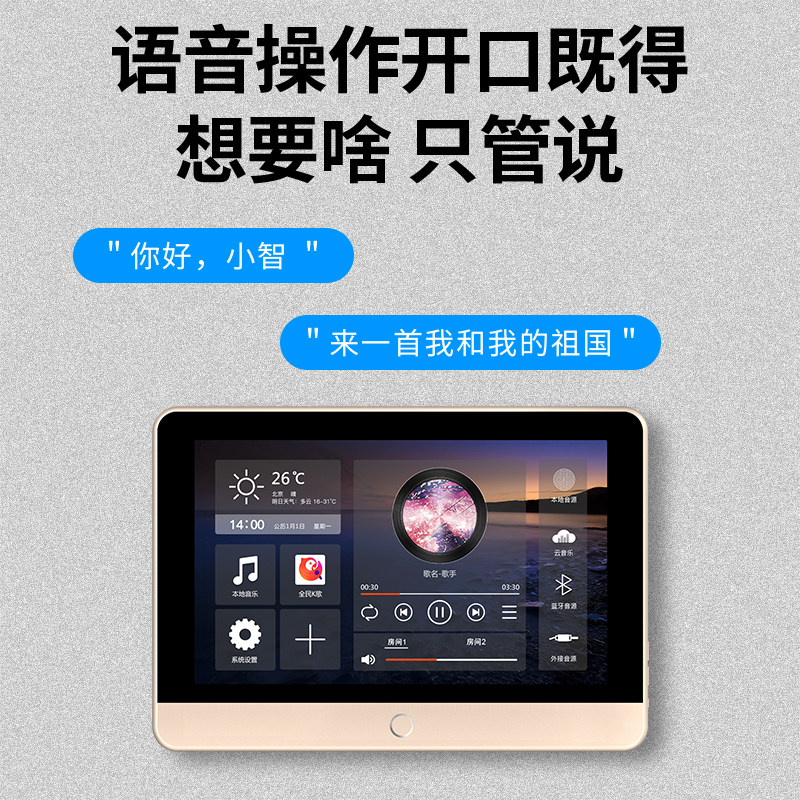 家庭智能背景音乐主机控制系统歌用K家套装全吸屋顶音响智能家居