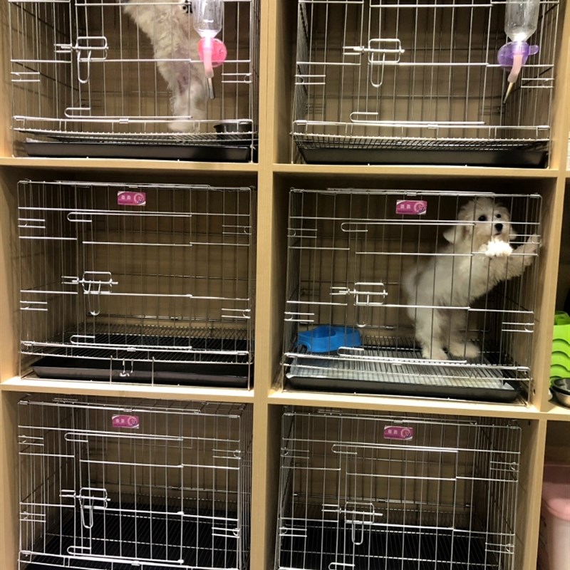 嘉盈出口款不锈钢可折叠狗笼猫笼免笼宠物笼博美中小型犬带厕所