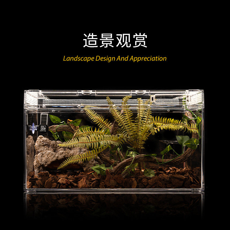 BG生态雨林沙漠爬宠饲养箱角蛙蜘蛛蠍子鬃狮蜥蜴守宫蛇造景饲养盒