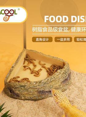 WACOOL玩酷爬宠食盆水盆树脂喂食器鬃狮蜥蜴陆龟角蛙守宫造景用品