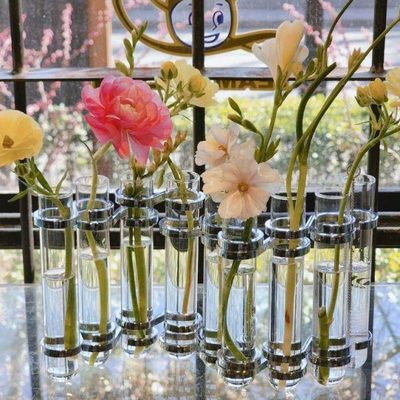 稻谷藏库DULTON 创意玻璃试管花瓶 桌面干花瓶 居家水培器皿试管