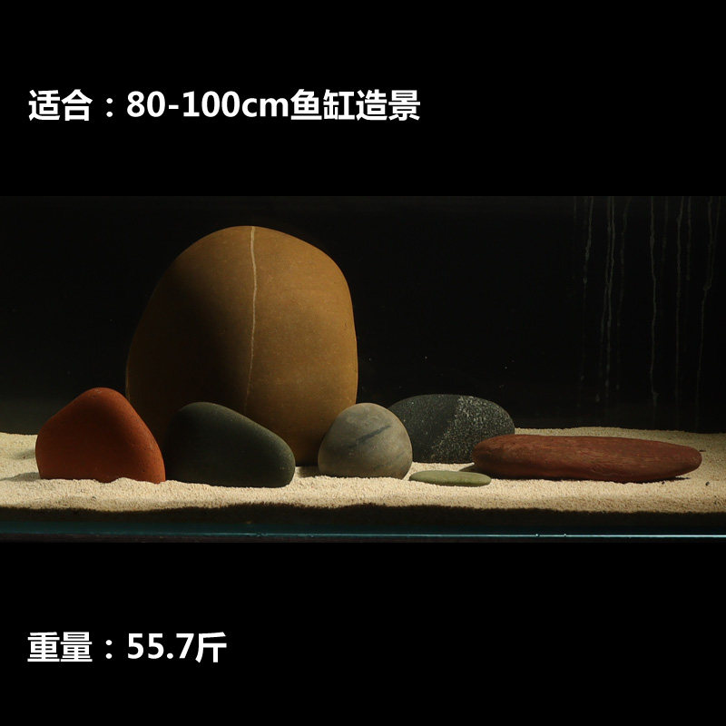 70-100鱼缸造景天然鹅卵石鱼池南美原生草缸水族装饰石头摆件