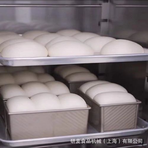 16盘面包发酵箱商用烘焙全自动醒面机馒头恒温笼屉醒发箱蒸笼发面