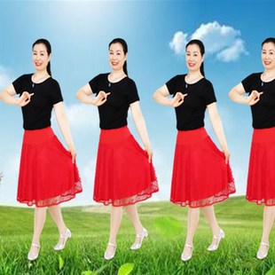 夏天蕾丝中裙子跳舞服装 雪妹舞蹈服短袖 套装 广场舞新款 两件套夏季