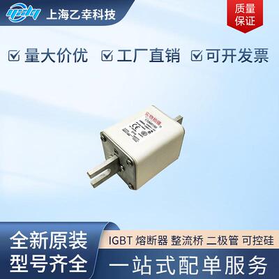 巴斯曼熔断器 170M5469 170M5484 170M5494 170M5495 170M5496
