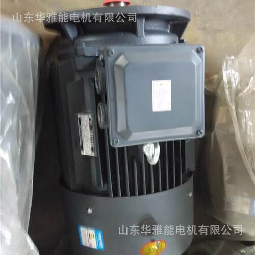 猛牛V1电机衡水船用YB3-H112M-2-4电机法兰安装孔键和键槽长度