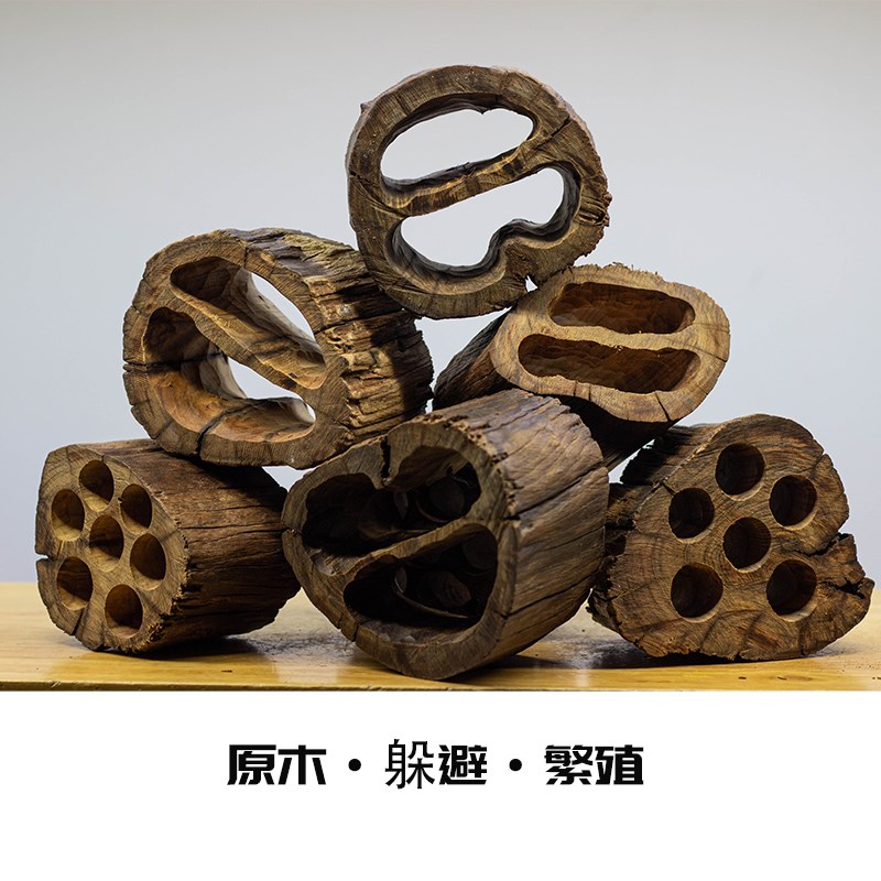 沉木躲避洞原木繁殖孔虾木虾窝异形产卵屋鱼缸造景摆件南美装饰木