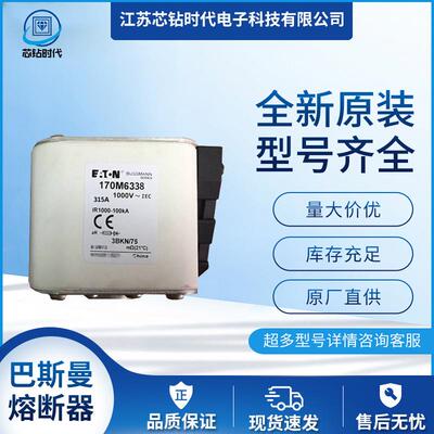 170M6338170M6339170M6340巴斯曼BUSSMANN熔断器保险丝