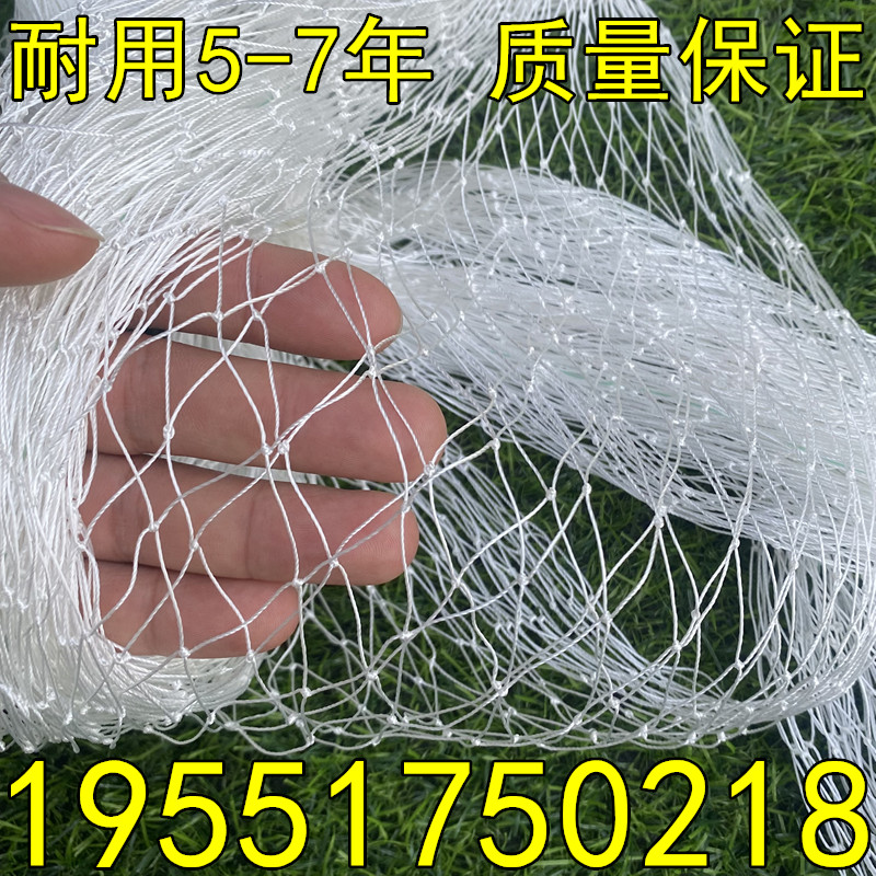 聚酯纤维复丝防鸟梨果树樱桃葡网萄树蓝莓果园防鸟用网鱼塘天网防