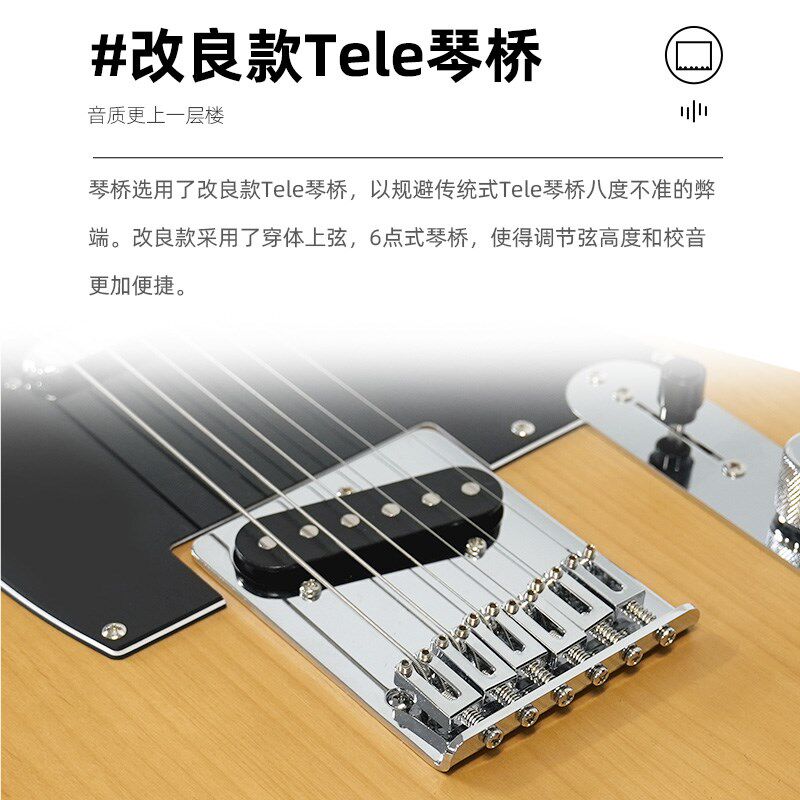戴尼森电吉他初学者入门电琴桤木琴体复古摇滚新手电吉他套装R311