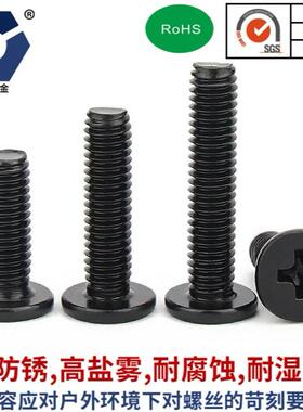 CM2.5x3-2.5x14扁圆头螺丝钉黑色304不锈钢高盐雾防锈用耐腐蚀