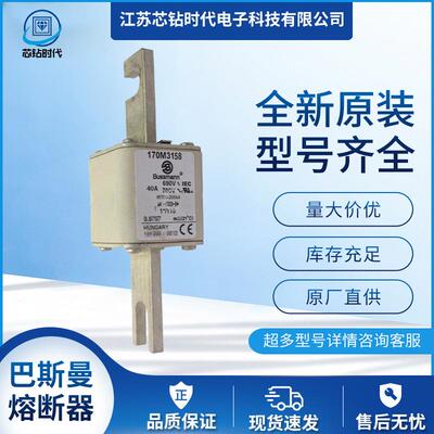 170M3161170M3162170M3163巴斯曼BUSSMANN熔断器保险丝