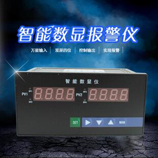 双输入智能数字显示控制仪温度压力液位上下限报警数显表智能报警