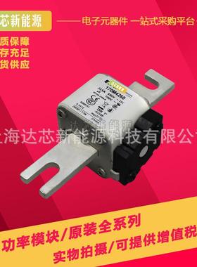 170M3981 170M3982 170M3983 170M3984 170M3985 170M3986熔断器