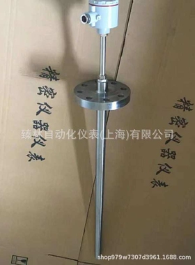 循环流化床锅炉耐磨热电偶 WRE2-230NM
