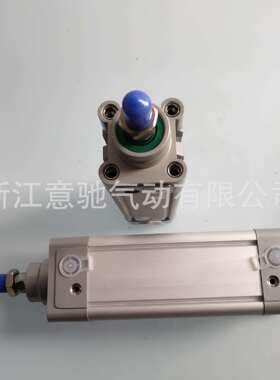 标准气缸SEDNC63-25-50-75-100-125-150-200-700-PPV-A