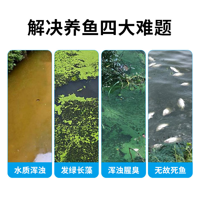 鱼池过滤器养鱼水循环系统设备大型净化过滤箱装置室外锦鲤水池