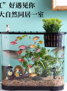 桌面鱼缸小型家用高清透明塑料生态鱼缸有盖办公桌椭圆形生态缸