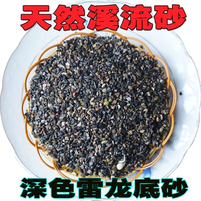 深色溪龙沙雷流鱼底沙底砂造景铺面色饰原生黑装雨林南美水石免洗