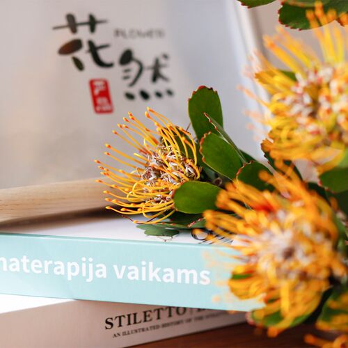 多头针垫针鲜花云材直发水培鲜切花插花南非进口花南橘色花包花