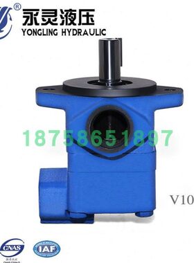 YLC永灵叶片泵V10-1P1P 2P 3P 4P 5P 6P 7P-1A-R 1B/1C/1D-R L 20
