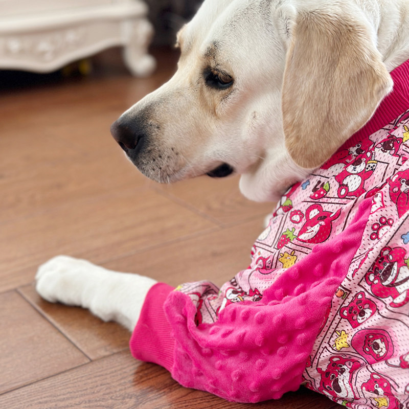 大型犬护肘服夏薄款网眼关节护肘背心拉布拉多金毛保护关节凉感衣